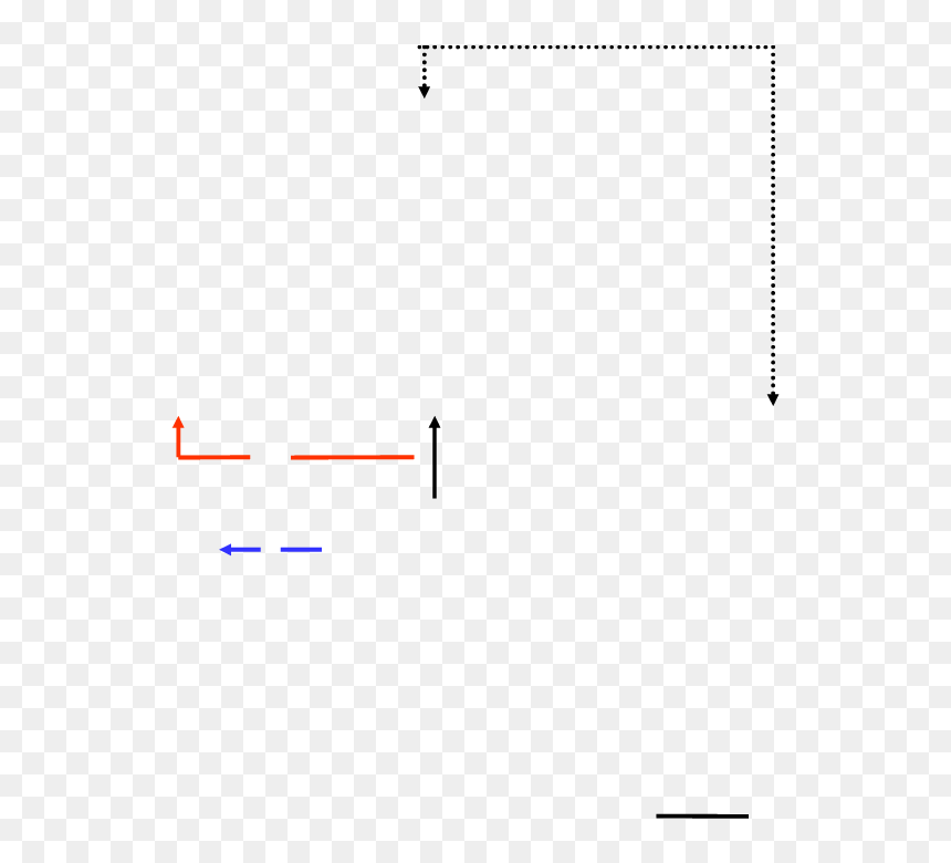 Diagram, HD Png Download - starfield png