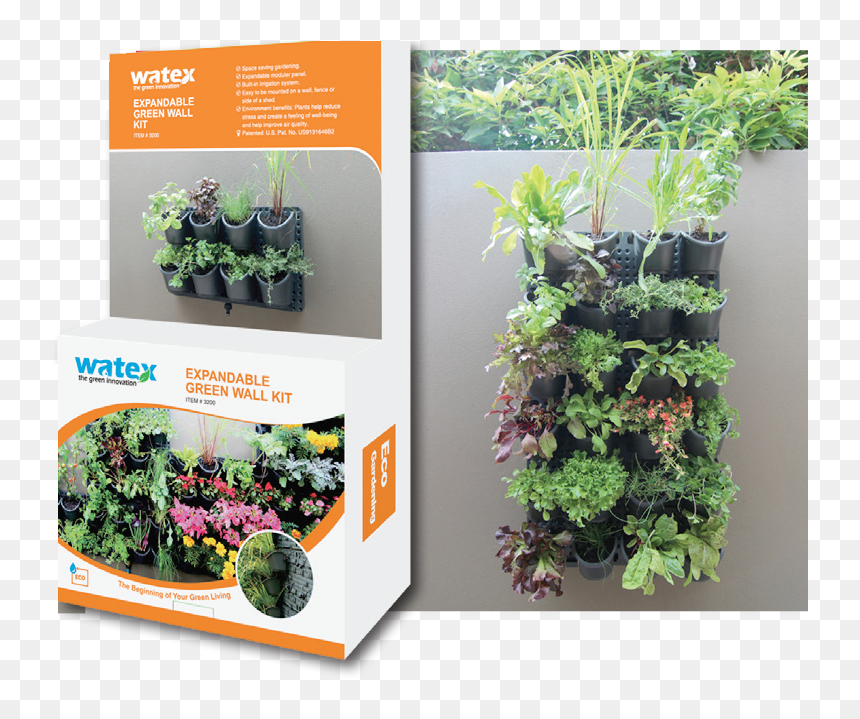 Green Wall, HD Png Download - green wall png