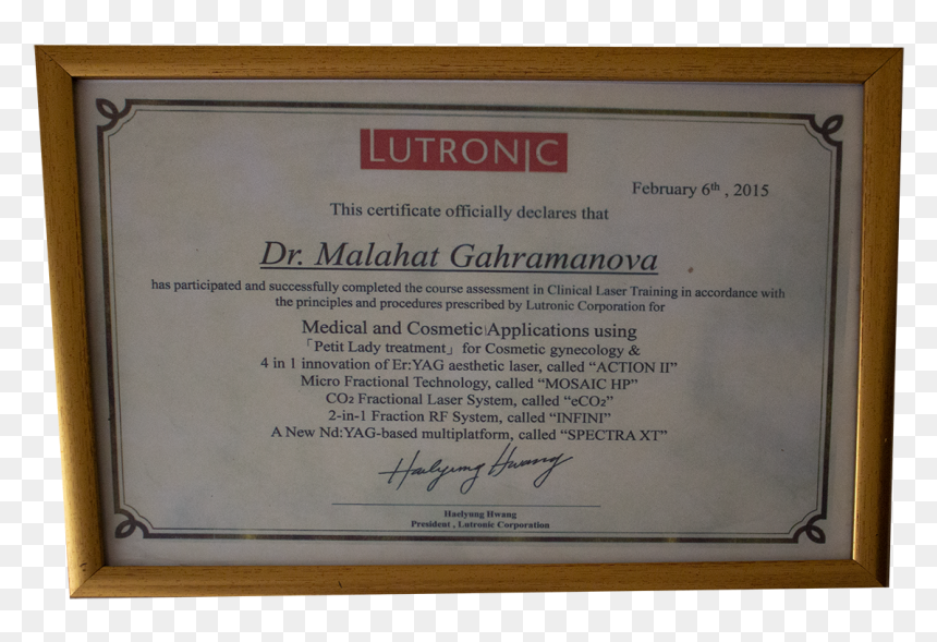 Melahat Gahramanova Certificate 5 - Picture Frame, HD Png Download - certificate png