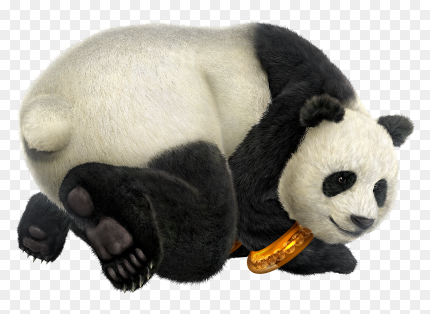 Panda Head Png Download - Tekken Panda Png, Transparent Png - panda head png