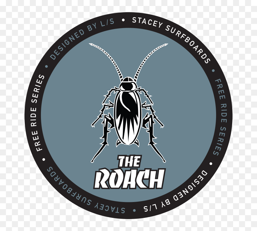 Watch , Png Download - Leaf Beetle, Transparent Png - roach png