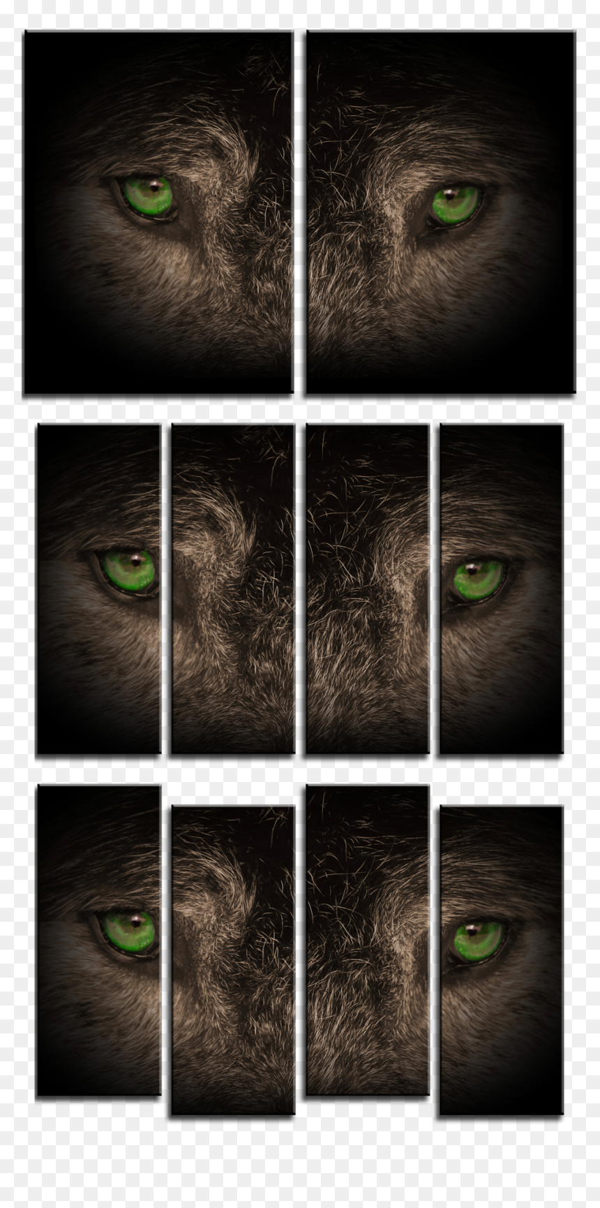 Black Cat, HD Png Download - wolf eyes png