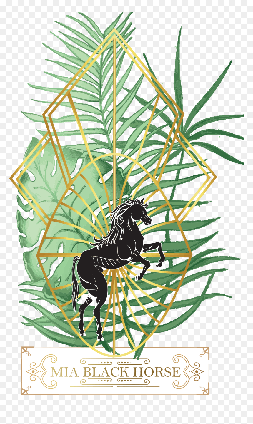 Home - Illustration, HD Png Download - black horse png