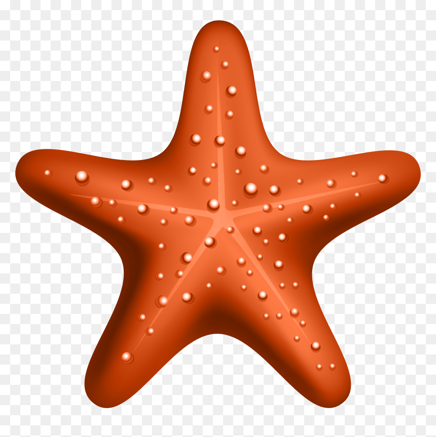 Starfish Clipart Hd, HD Png Download - starfish clipart png