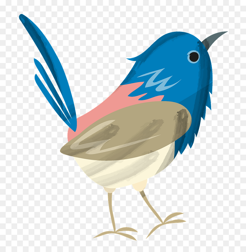 Bluebird Clipart - Mountain Bluebird, HD Png Download - blue bird png