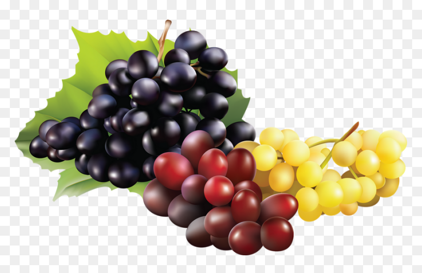 Fruit De Raisin Png , Png Download - Raisin Png, Transparent Png - raisin png
