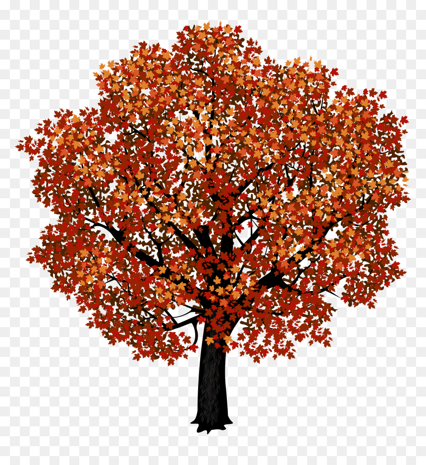 Red Maple Tree Png Clipart Picture - Transparent Background Maple Tree Png, Png Download - orange tree png