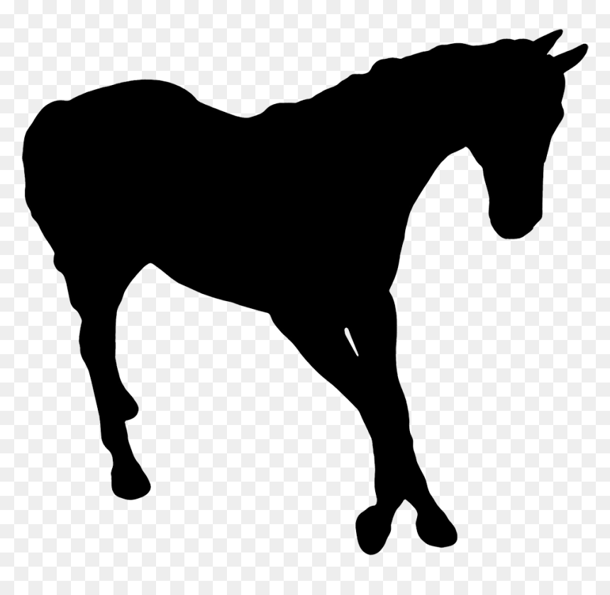 Silhouette Of Horse - Dark Horse Idiom, HD Png Download - black horse png