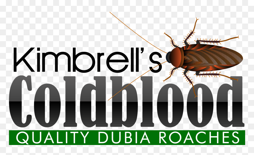 Cockroach, HD Png Download - roach png