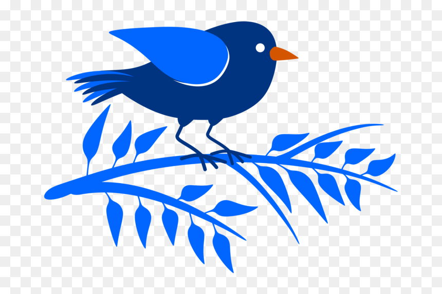 Perching Bird,beak,bluebird - Birds, HD Png Download - blue bird png