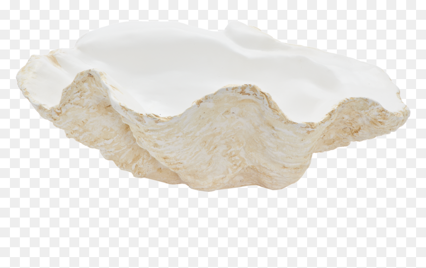 Bathroom Sink, HD Png Download - clam shell png