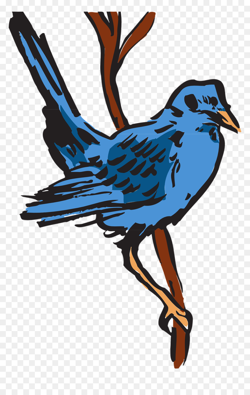 Feather, HD Png Download - blue bird png