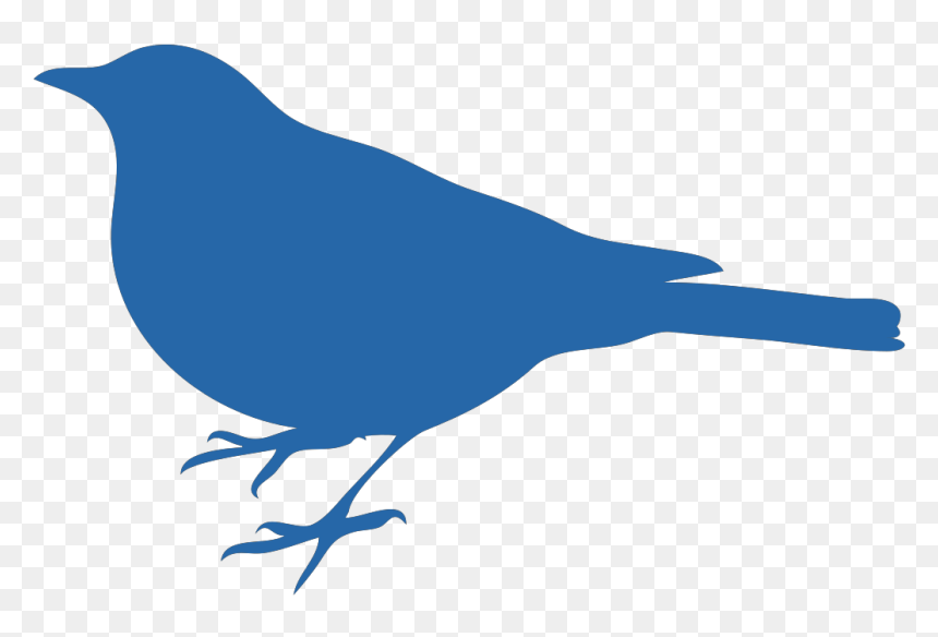 Mockingbird Black And White, HD Png Download - blue bird png