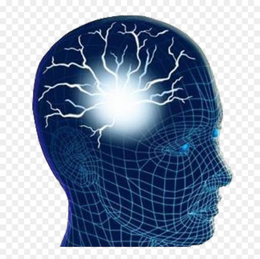 Human Brain Png Image - Human Brain Png, Transparent Png - human brain png