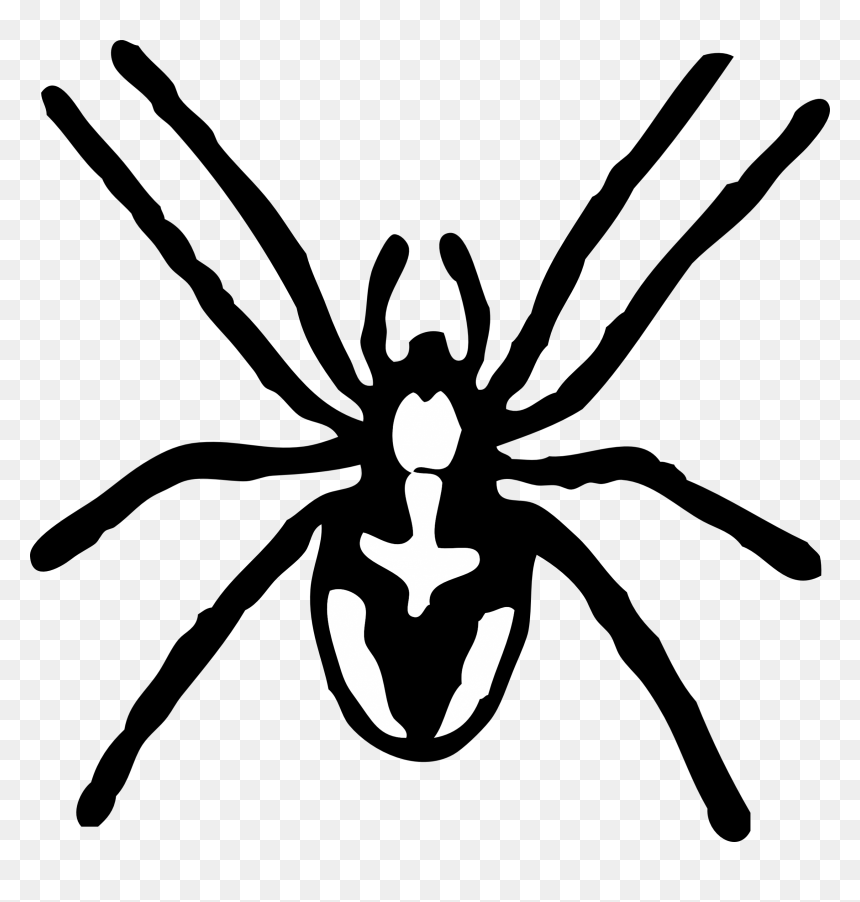 Thumb Image - Spider Black And White Clip Art, HD Png Download - cute spider png