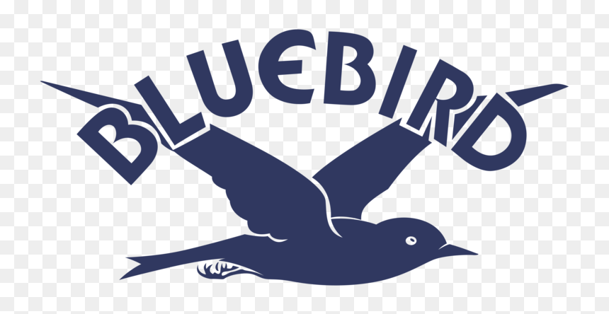 Bluebird - European Swallow, HD Png Download - blue bird png
