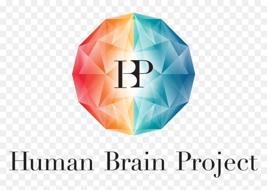 Hbp Human Brain Project, HD Png Download - human brain png