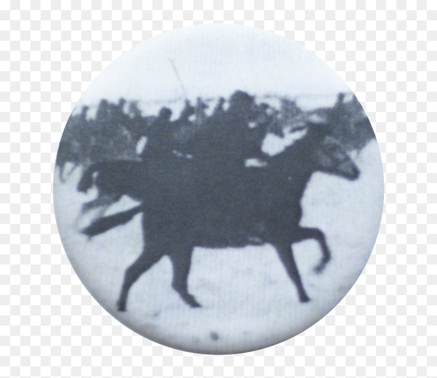 Dark Horse - Ox, HD Png Download - black horse png