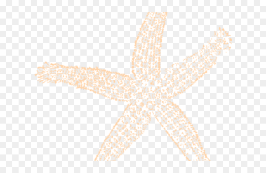 Starfish Clipart Peach - Starfish, HD Png Download - starfish clipart png
