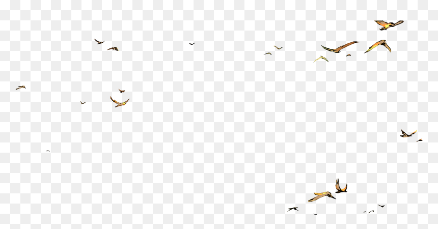 Flock, HD Png Download - sad troll face png
