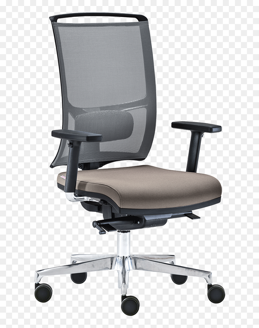 Zed Milani, HD Png Download - zed png