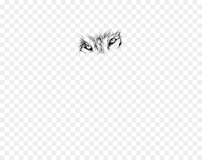 Wolf Eyes - Hedgehog, HD Png Download - wolf eyes png