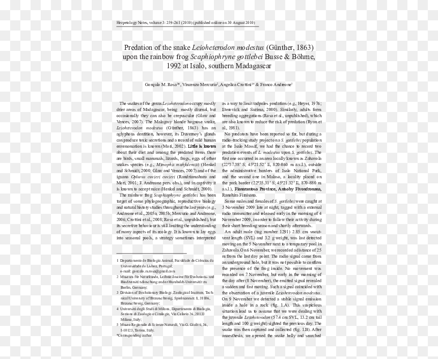 Document, HD Png Download - rainbow frog png