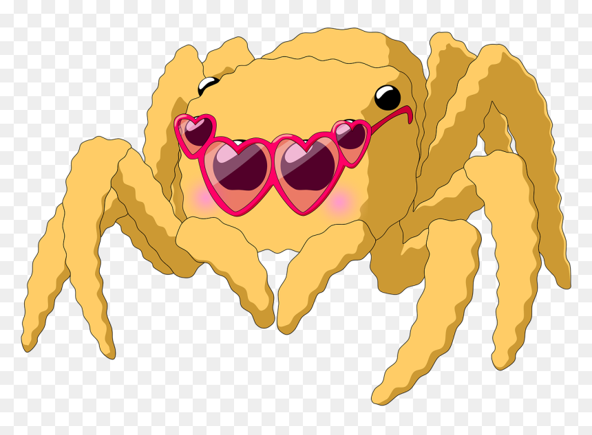 Spider Salticidae Arachnida Free Photo - Salticidae Vector, HD Png Download - cute spider png