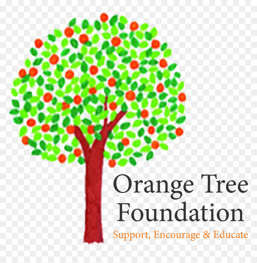 Orange Tree Foundation Logo, HD Png Download - orange tree png