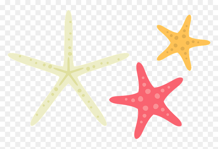 Starfish Sea Stars Clipart - Starfish, HD Png Download - starfish clipart png
