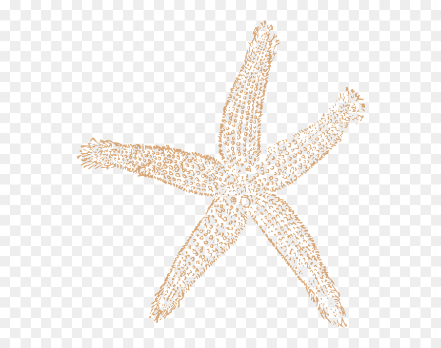 Fish Clip Art, HD Png Download - starfish clipart png