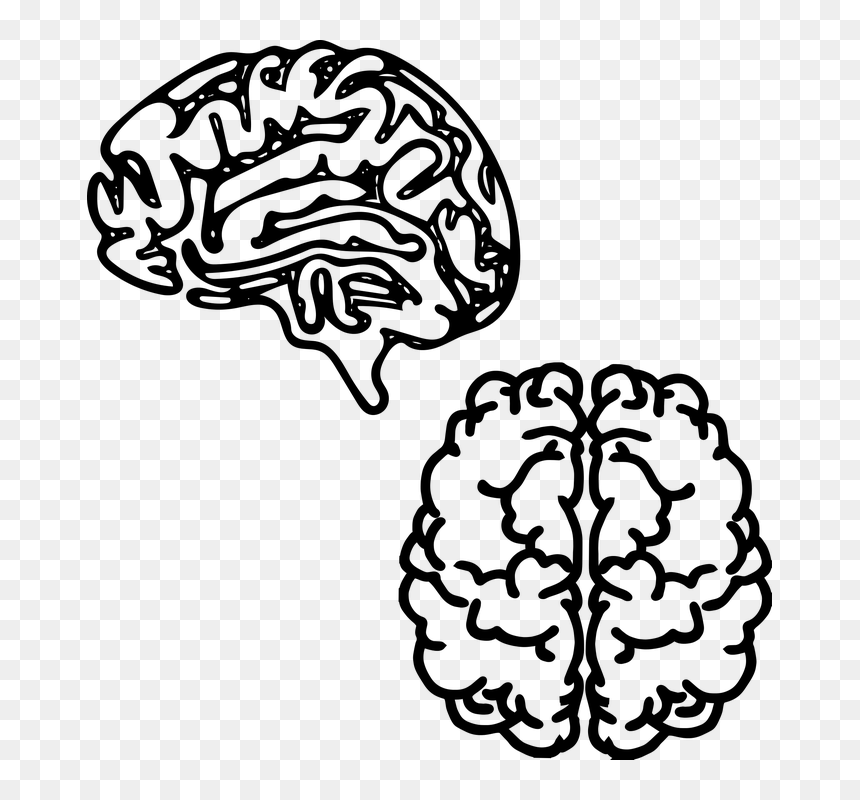 Mental Health Flyer Design, HD Png Download - brain outline png