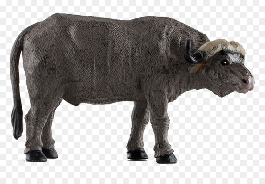 African Buffalo Free Png - Pnso Hyena Amazon Uk, Transparent Png - african png