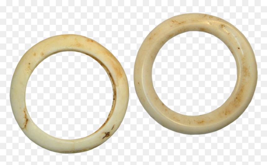 Papua New Guinea And Europe, Clam Shell Ring And Imitation - Body Jewelry, HD Png Download - clam shell png