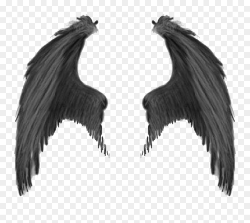 Devil Wings Png, Transparent Png - bird wings png