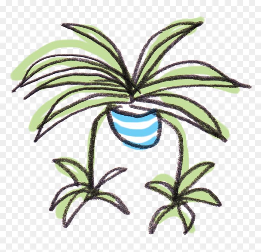 Thumb Image - Spider Plant Clipart, HD Png Download - cute spider png