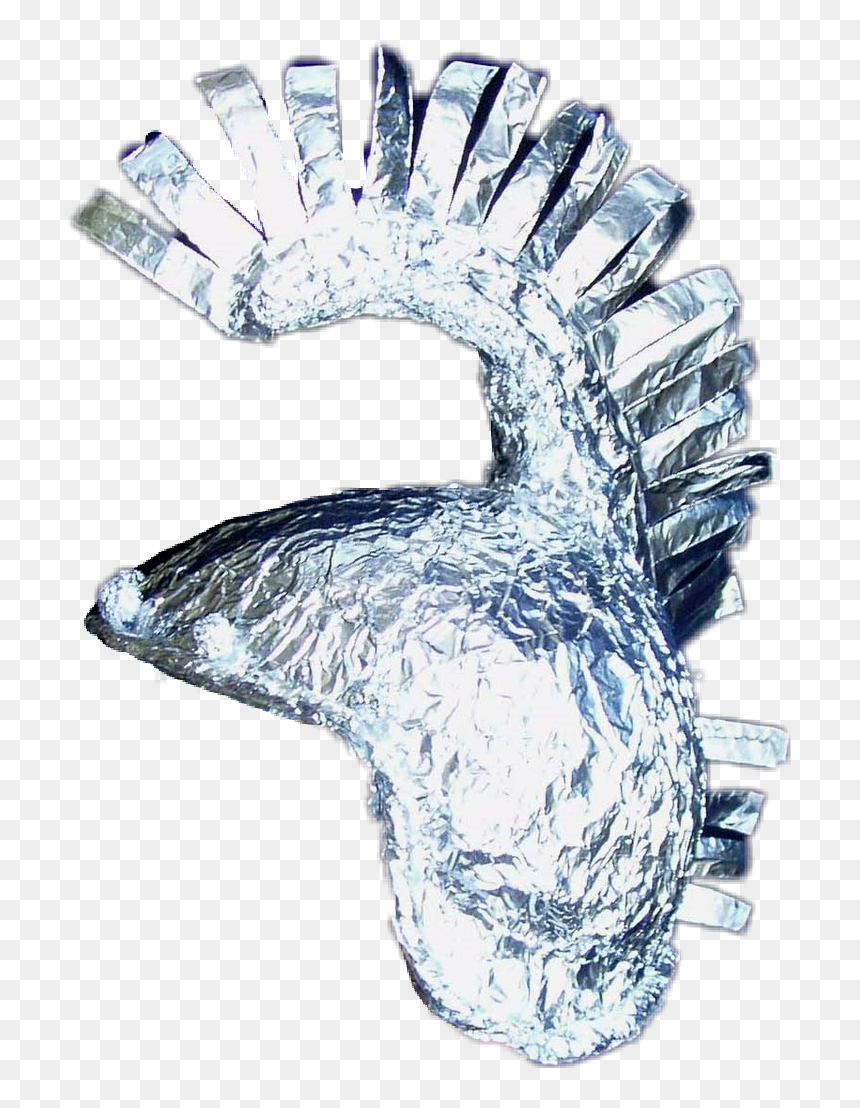 Transparent Tin Foil Hat Png - Transparent Tin Foil Hat, Png Download - tinfoil hat png