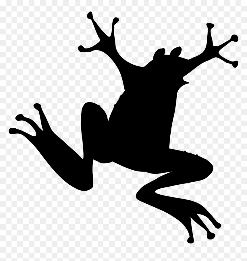 Frog Clip Art - Clip Art Attention Getter, HD Png Download - rainbow frog png