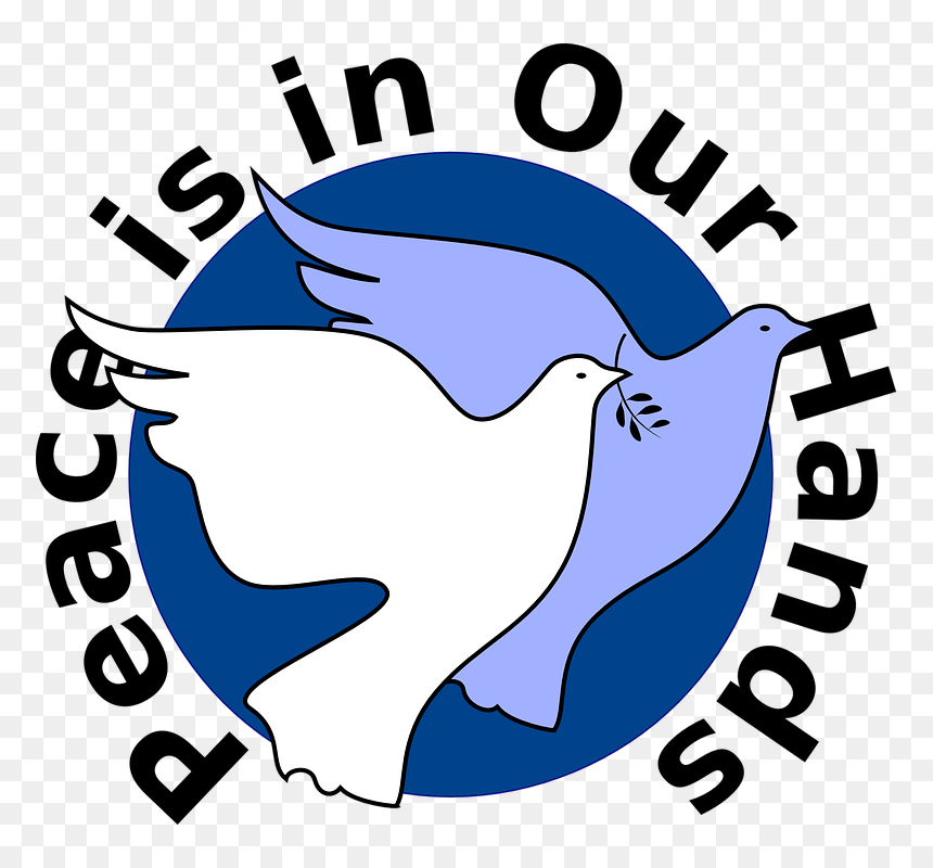 Peace Is In Our Hands, HD Png Download - peace dove png