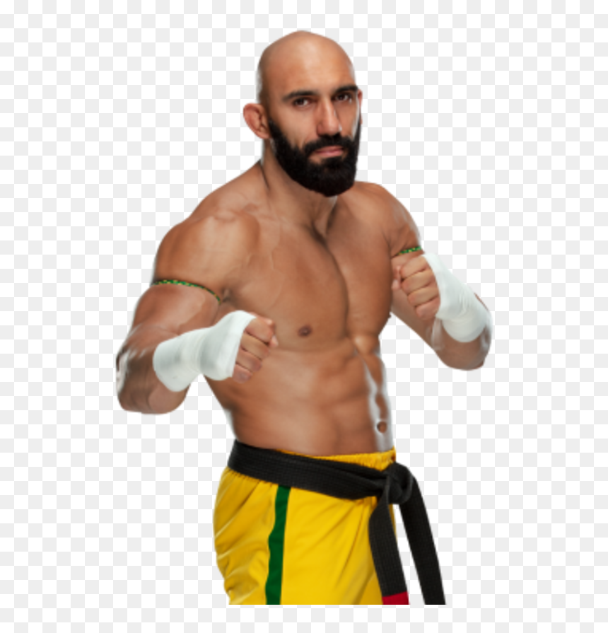 Arturo Ruas Png, Transparent Png - hideo itami png