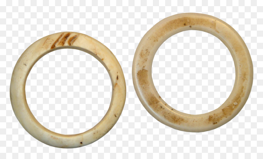 Body Jewelry, HD Png Download - clam shell png