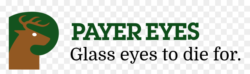 Payer Eyes - Oval, HD Png Download - wolf eyes png