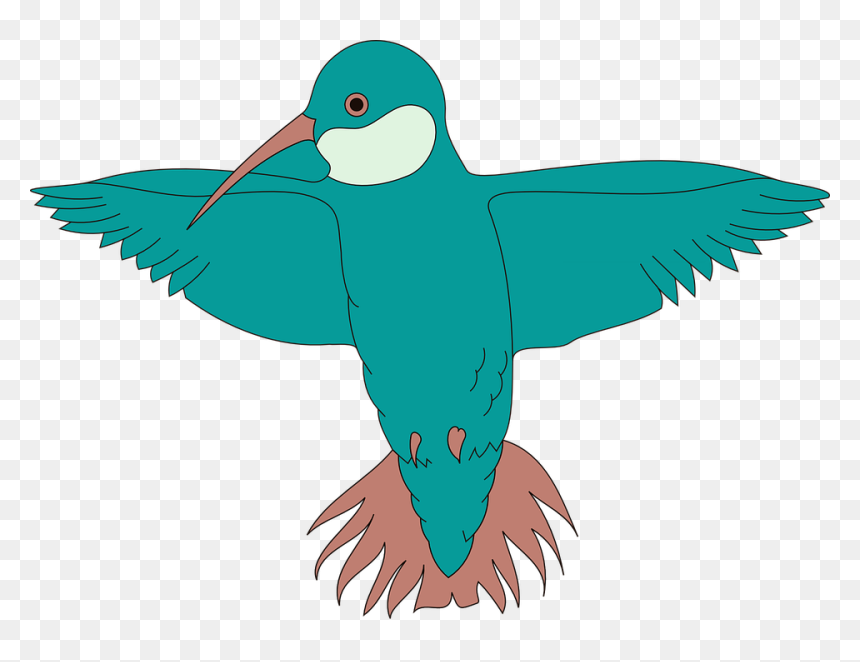 Transparent Wings Clipart - Bird Spreading Wings Clipart, HD Png Download - bird wings png
