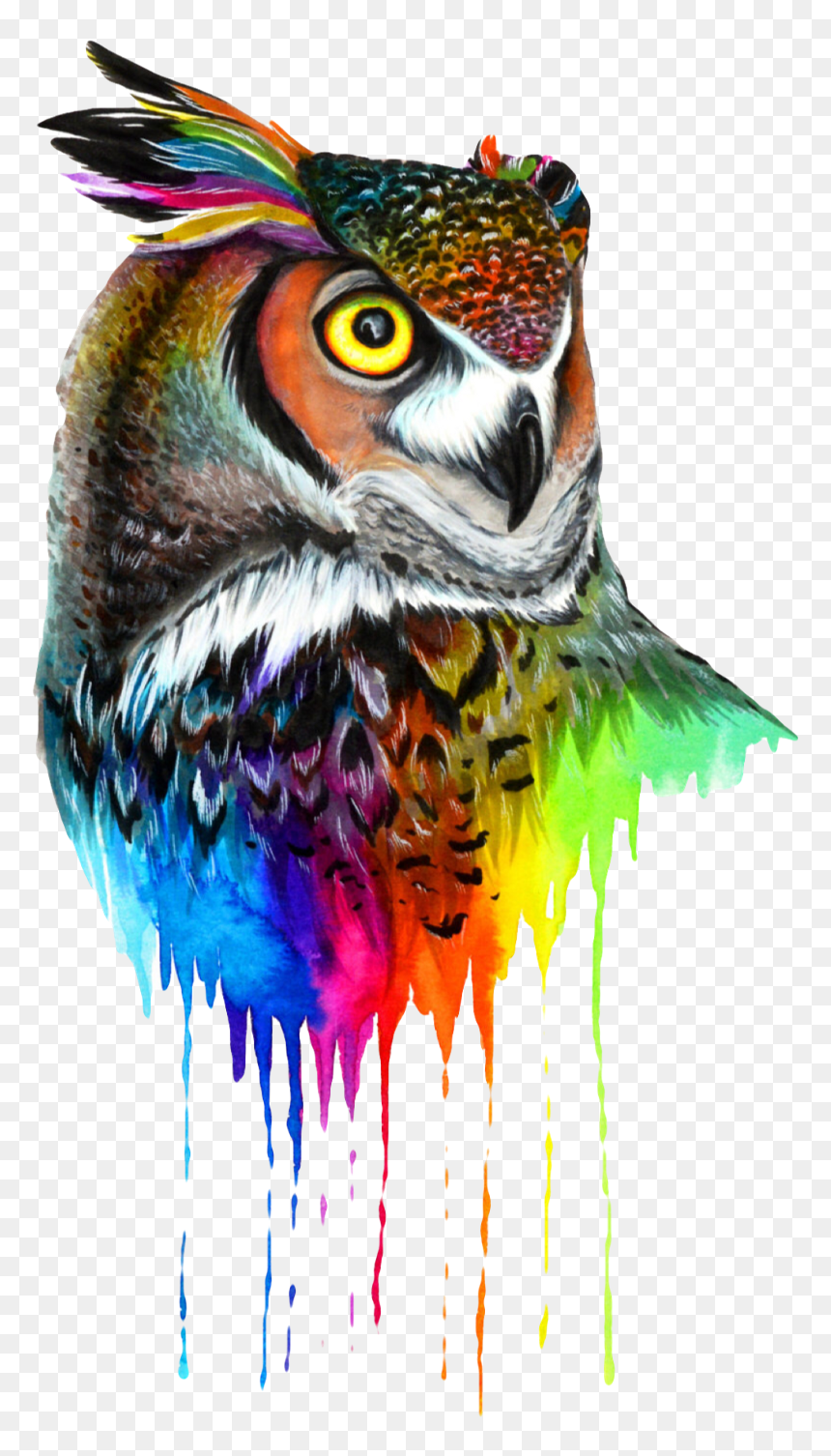 #owl #colors #mandala #bird #animal #nature #beak #wings - Watercolor Owl, HD Png Download - bird wings png
