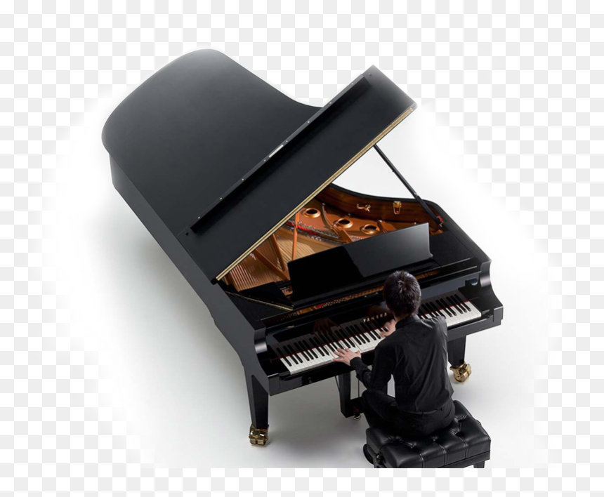 Finding The Instrument With Which You Become One - Grand Piano Yamaha Price, HD Png Download - grand piano png