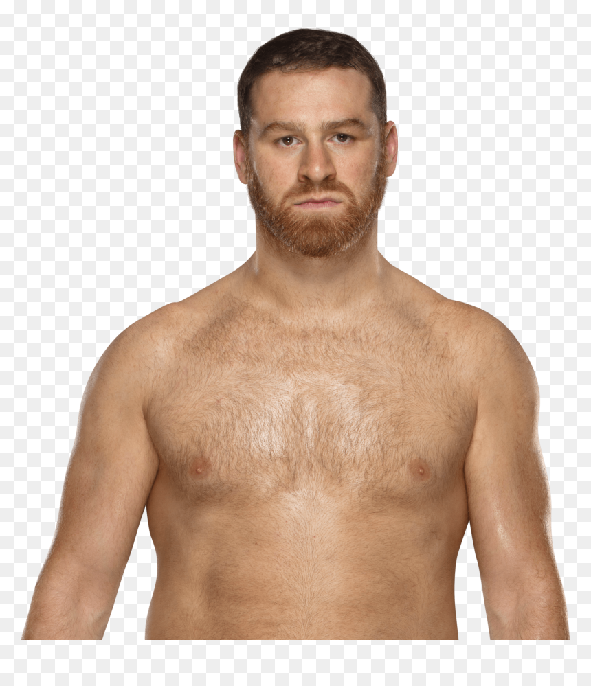Shane Mcmahon, Sami Zayn - Sami Zayn Wwe Champion, HD Png Download - shane mcmahon png