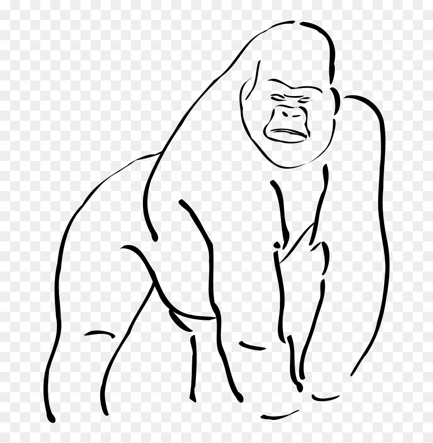 Drawing Gorilla Cross River, Picture - Gorilla Outline, HD Png Download - cross outline png