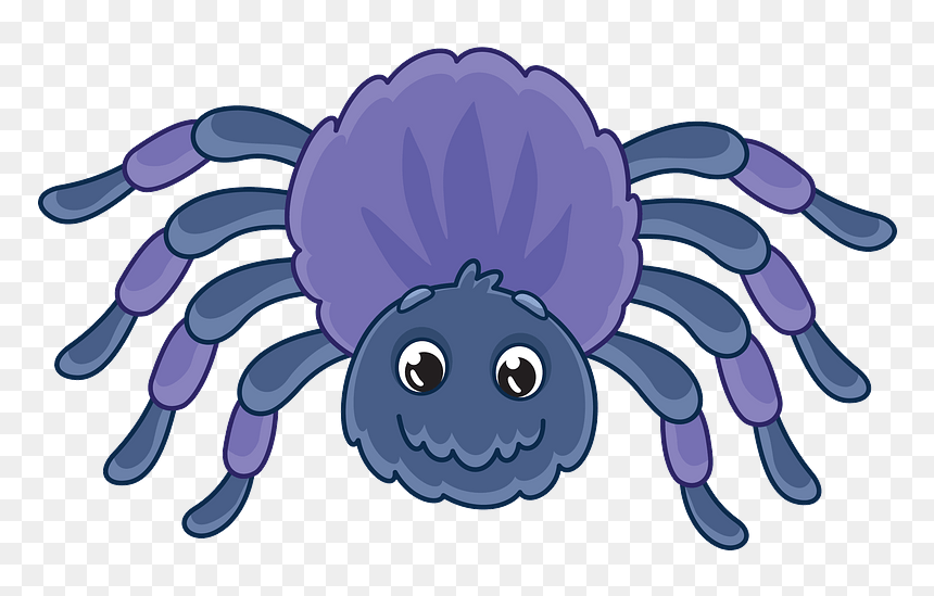 Spider Clipart, HD Png Download - cute spider png