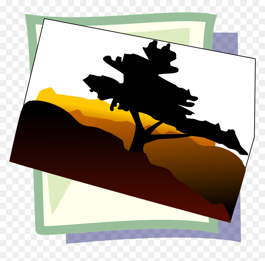 Bonsai Tree Clip Art, HD Png Download - desert tree png
