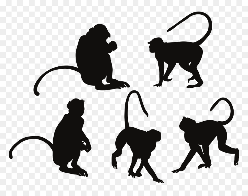 Monkey, HD Png Download - monkey silhouette png
